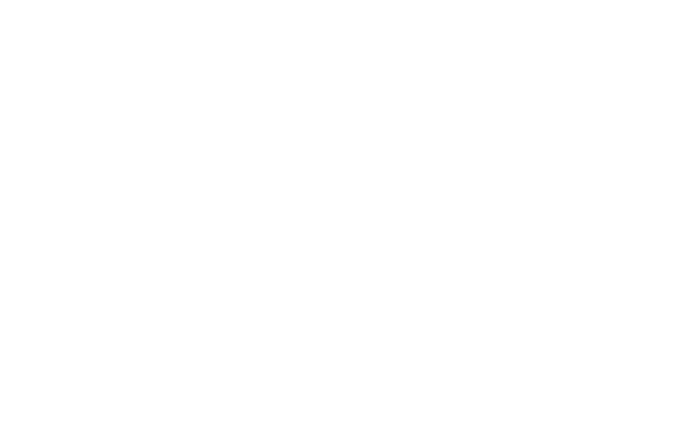 Skyhaul Logo